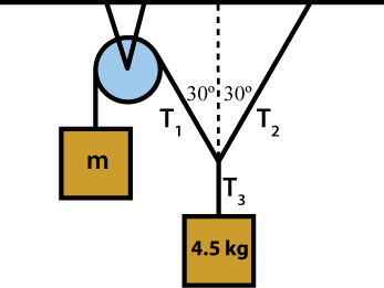 vector graph