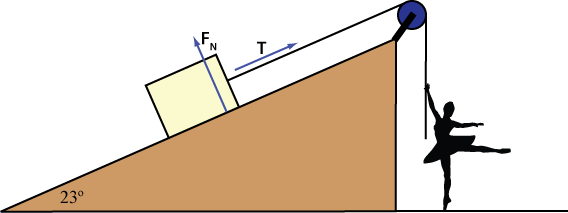 vector graph