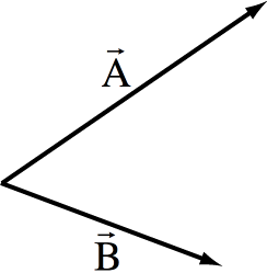 vector graph