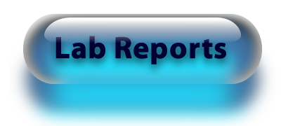 Lab Reports