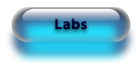 Labs